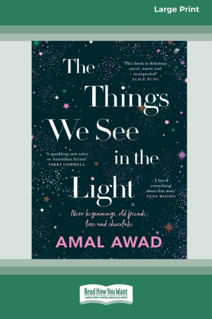 The Things We See in the Light [16pt Large Print Edition], Paperback / softback Book
