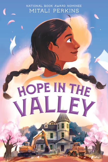 Hope in the Valley, Hardback Book
