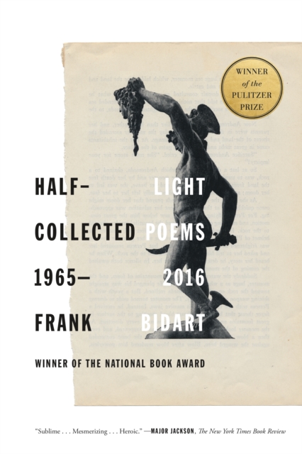 Half-light : Collected Poems 1965-2016, Paperback / softback Book