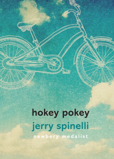 Hokey Pokey, Hardback Book