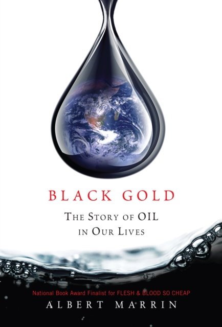 Black Gold : The Story of Oil in Our Lives, Paperback / softback Book