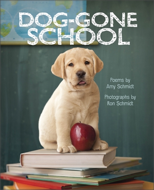 Dog-Gone School, Hardback Book