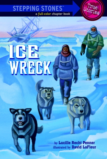 Ice Wreck, EPUB eBook