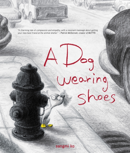 A Dog Wearing Shoes, Hardback Book