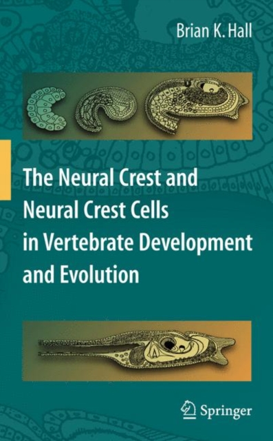 The Neural Crest and Neural Crest Cells in Vertebrate Development and Evolution, Hardback Book