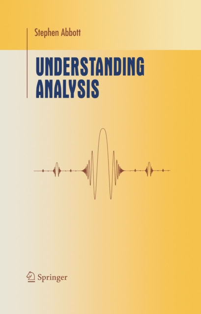 Understanding Analysis, PDF eBook