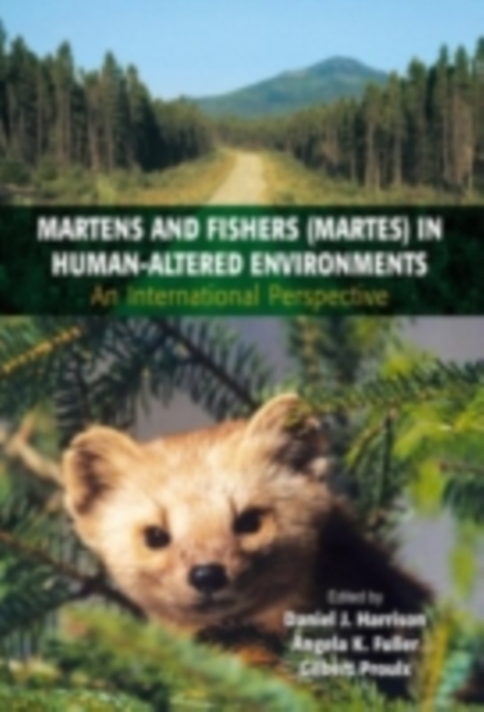 Martens and Fishers (Martes) in Human-Altered Environments : An International Perspective, PDF eBook