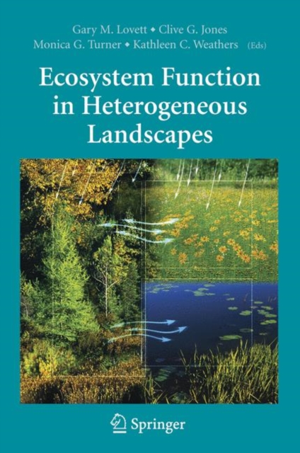 Ecosystem Function in Heterogeneous Landscapes, Paperback / softback Book