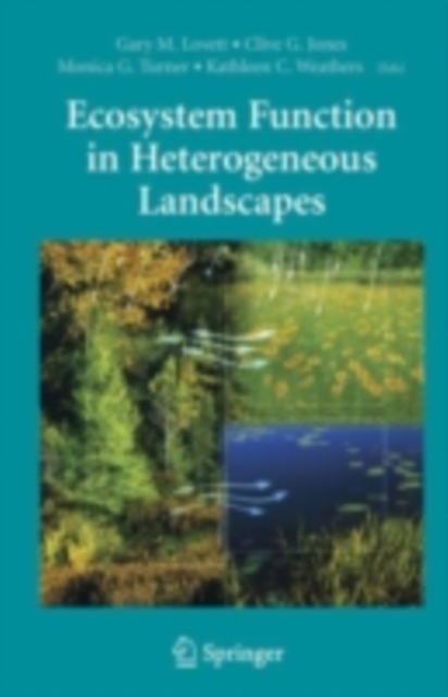 Ecosystem Function in Heterogeneous Landscapes, PDF eBook