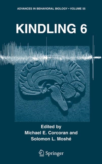 Kindling 6, Hardback Book