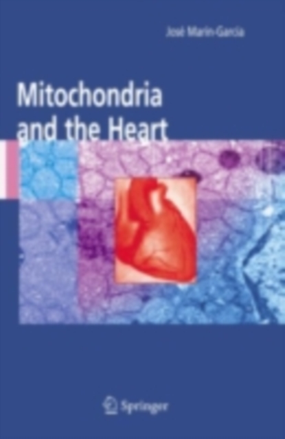 Mitochondria and the Heart, PDF eBook
