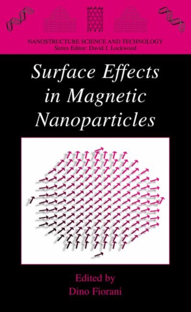 Surface Effects in Magnetic Nanoparticles, PDF eBook