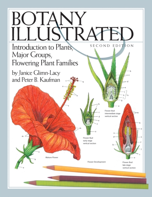 Botany Illustrated : Introduction to Plants, Major Groups, Flowering Plant Families, Paperback / softback Book