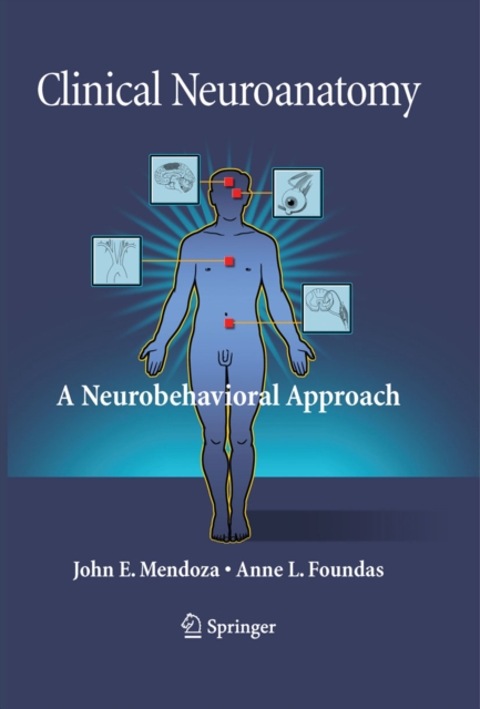Clinical Neuroanatomy : A Neurobehavioral Approach, PDF eBook