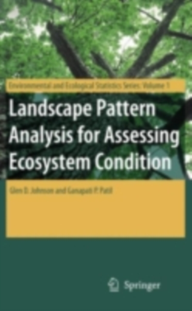 Landscape Pattern Analysis for Assessing Ecosystem Condition, PDF eBook