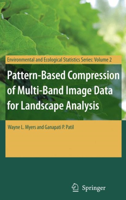 Pattern-Based Compression of Multi-Band Image Data for Landscape Analysis, Hardback Book
