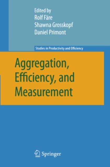 Aggregation, Efficiency, and Measurement, PDF eBook
