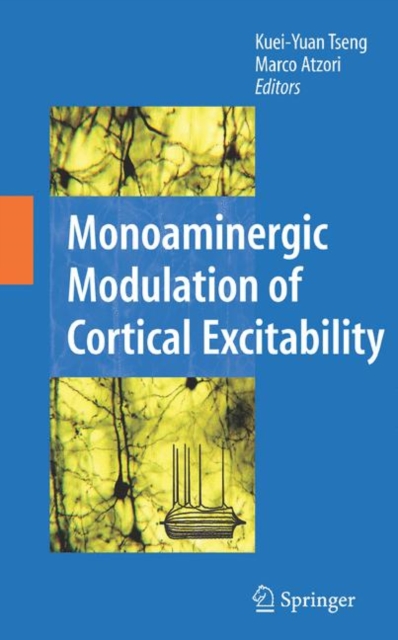 Monoaminergic Modulation of Cortical Excitability, Hardback Book