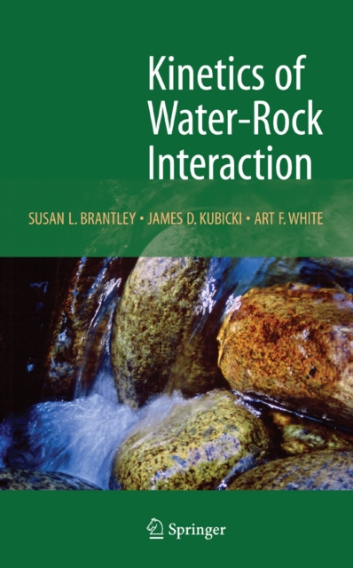 Kinetics of Water-Rock Interaction, Hardback Book