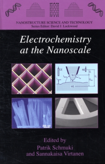 Electrochemistry at the Nanoscale, PDF eBook