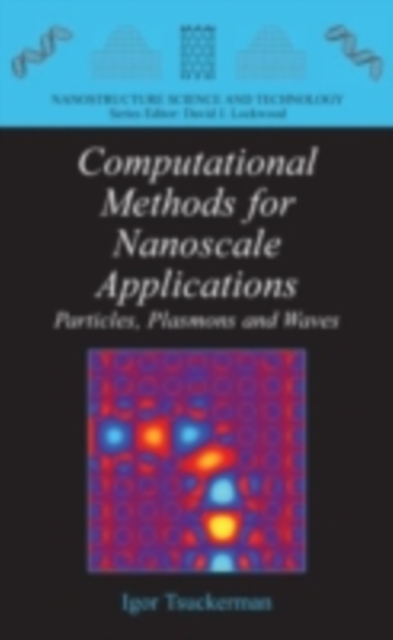 Computational Methods for Nanoscale Applications : Particles, Plasmons and Waves, PDF eBook