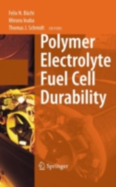 Polymer Electrolyte Fuel Cell Durability, PDF eBook