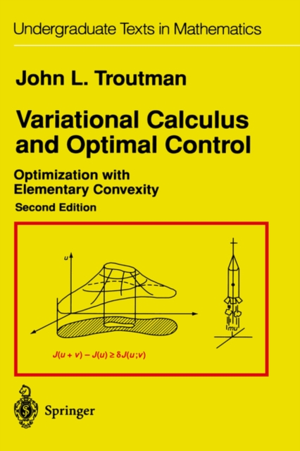 Variational Calculus and Optimal Control : Optimization with Elementary Convexity, Hardback Book