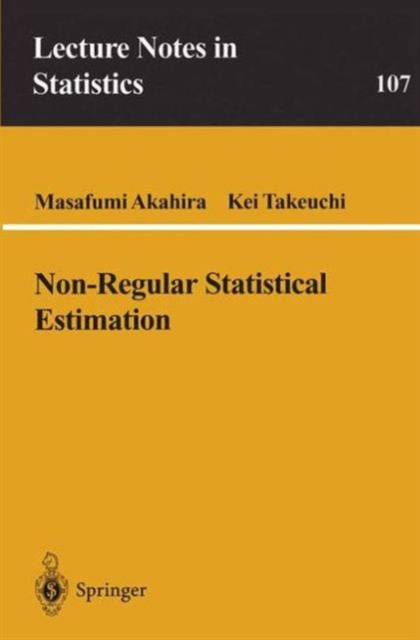 Non-Regular Statistical Estimation, Paperback / softback Book
