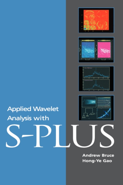 Applied Wavelet Analysis with S-Plus, Hardback Book