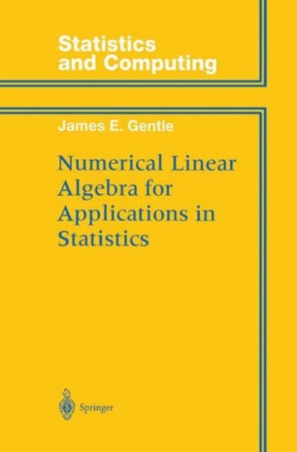Numerical Linear Algebra for Applications in Statistics, Hardback Book