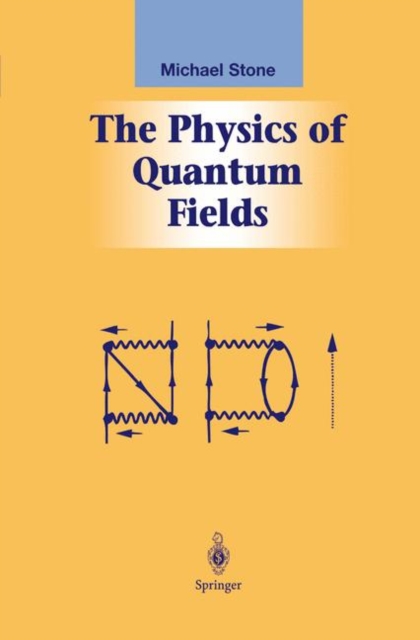 The Physics of Quantum Fields, Hardback Book
