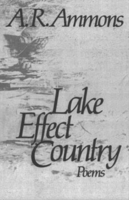 Lake Effect Country : Poems, Paperback / softback Book