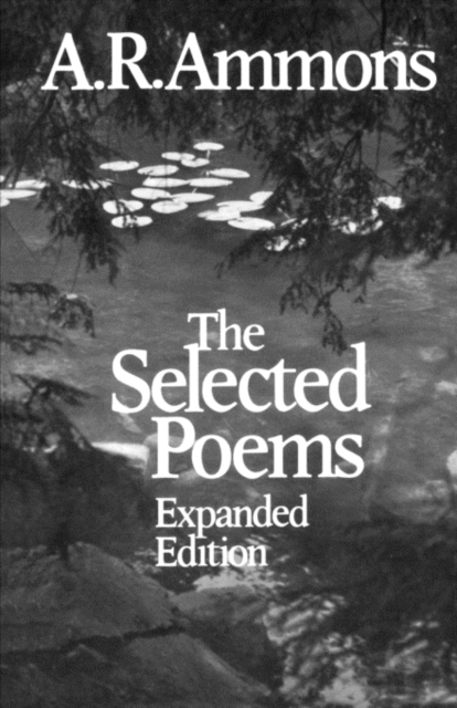 The Selected Poems, Paperback / softback Book
