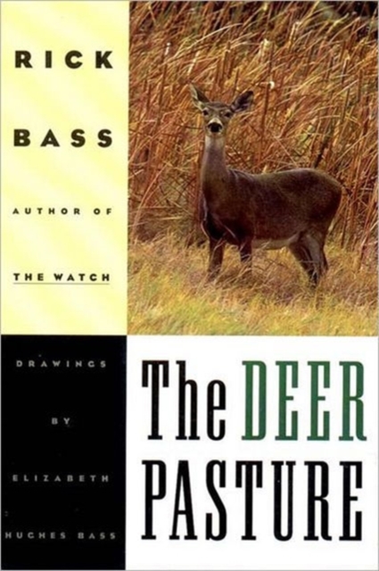 The Deer Pasture, Paperback / softback Book