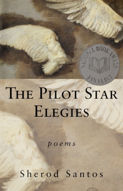 The Pilot Star Elegies : Poems, Paperback / softback Book
