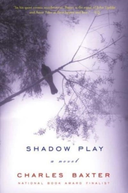 Shadowplay - A Novel, Paperback Book