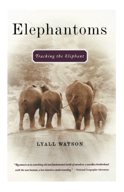 Elephantoms : Tracking the Elephant, Paperback / softback Book