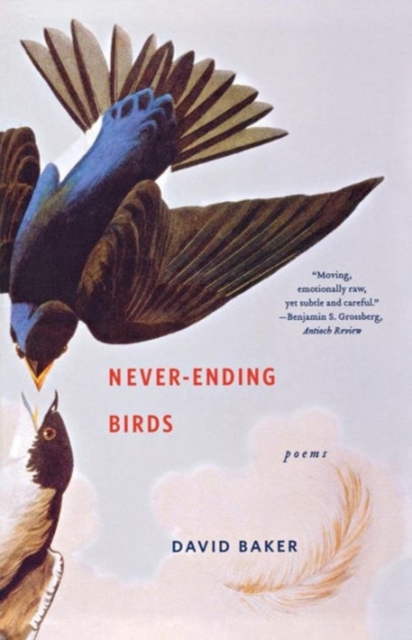 Never-Ending Birds : Poems, Paperback / softback Book