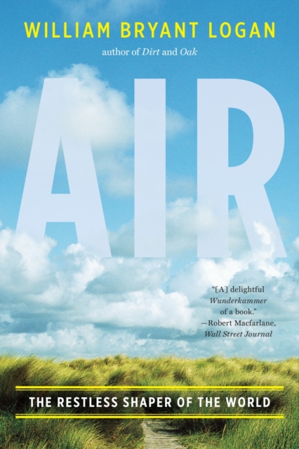Air : The Restless Shaper of the World, Paperback / softback Book