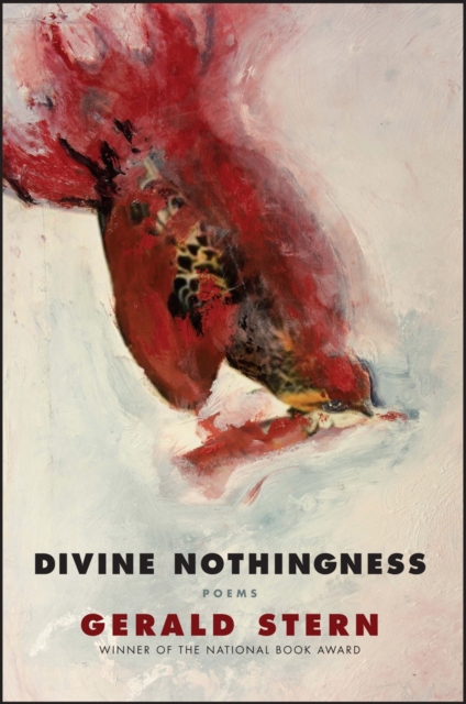 Divine Nothingness : Poems, Paperback / softback Book
