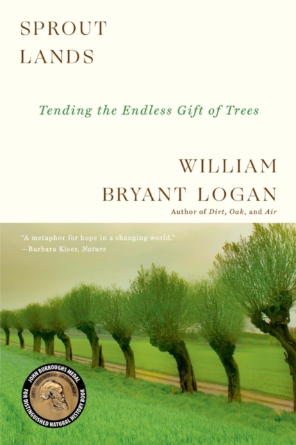 Sprout Lands : Tending the Endless Gift of Trees, Paperback / softback Book