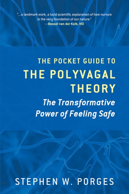 The Pocket Guide to the Polyvagal Theory : The Transformative Power of Feeling Safe, Paperback / softback Book