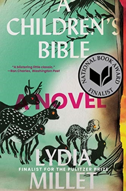 A Children's Bible : A Novel, Paperback / softback Book