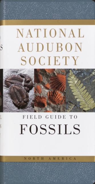 National Audubon Society Field Guide to Fossils : North America, Hardback Book