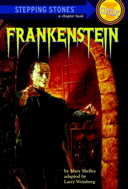 Frankenstein, Paperback / softback Book