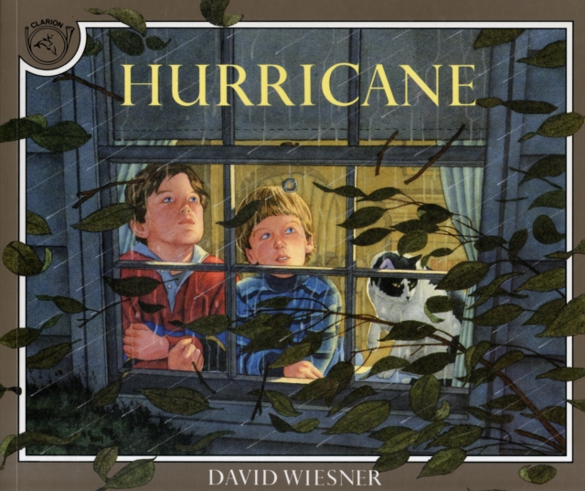 Hurricane, Paperback / softback Book