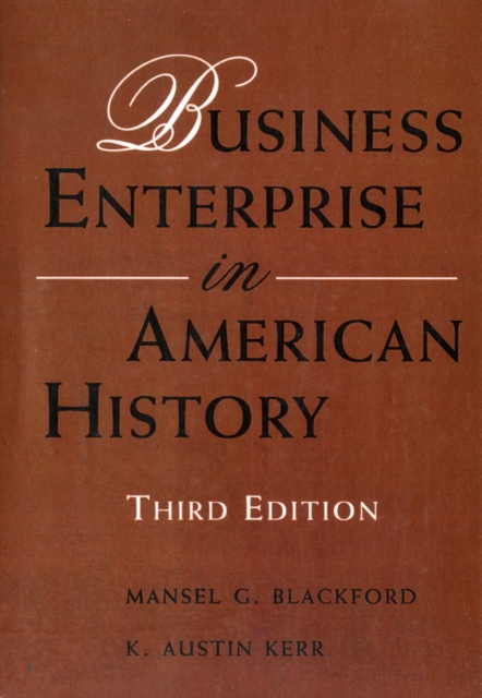 Business Enterprise in American History, Paperback / softback Book