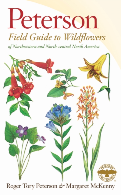 Field Guide to Wildflowers of Northeastern and North-central North America, Paperback Book