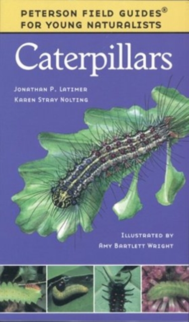 Caterpillars, Paperback Book