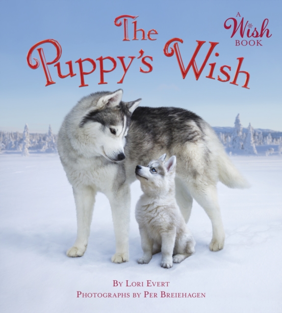 The Puppy's Wish, Board book Book